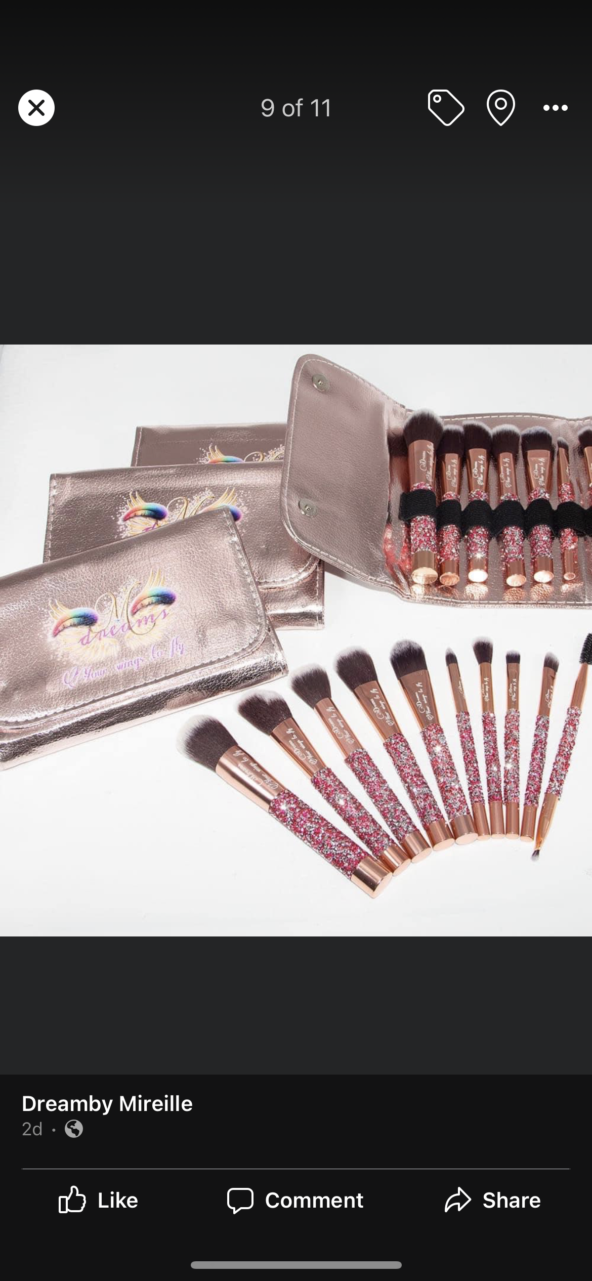 10 pc Makeup brush with case